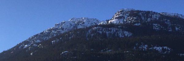 Jillyoli Profile Banner