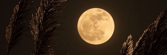 omnia99732193's profile banner image