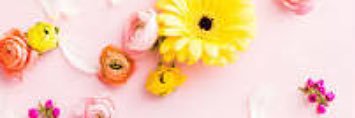 あんみつ ＊副業＊ banner