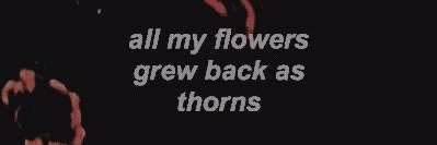 𝙒 𝙄 𝙉 𝘿 𝙍 𝙐 𝙉 𝙉 𝙀 𝙍 banner