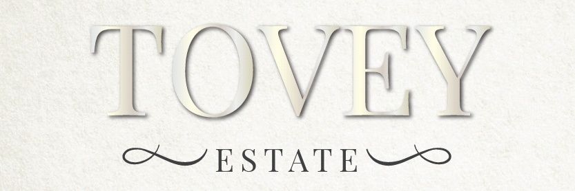 ptovey01's profile banner image