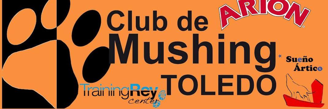 mushingtoledo's profile banner image