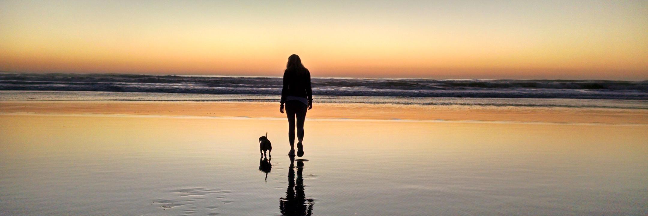 lynnheidi's profile banner image