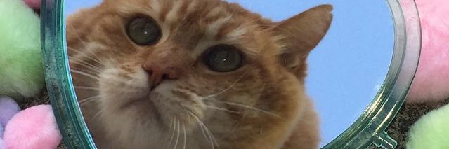 drops489's profile banner image