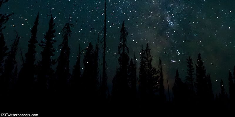TayCulpepper's profile banner image