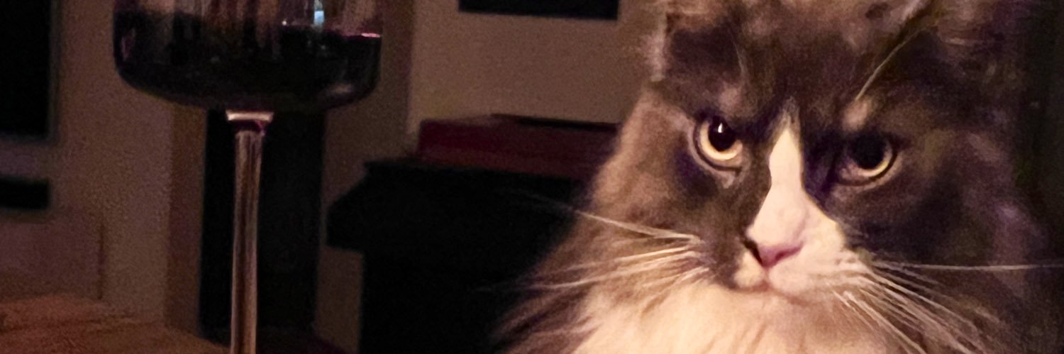 караван истерик banner
