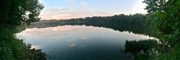 MatthewFried Profile Banner