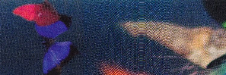 equanimite_0309's profile banner image