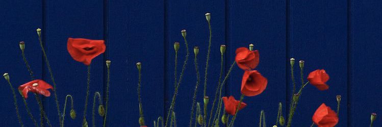 anothermesssy's profile banner image