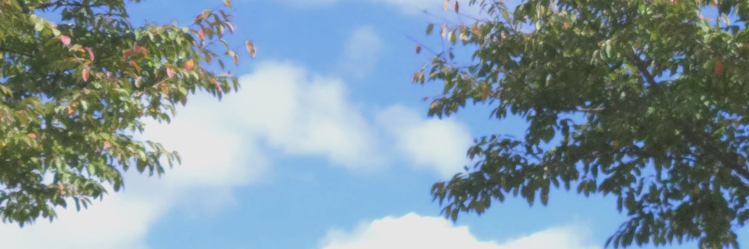 tetti_official's profile banner image