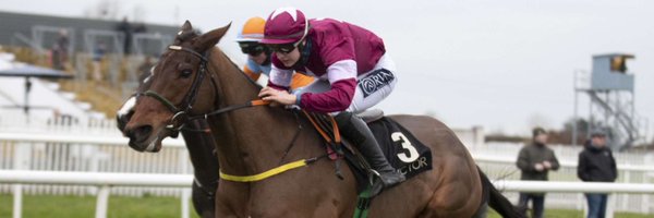 HarrySwan15 Profile Banner