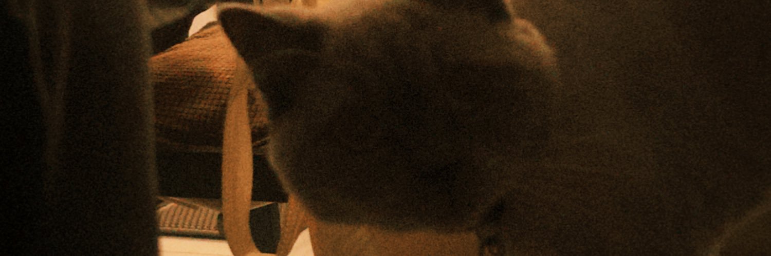 eliijahl's profile banner image