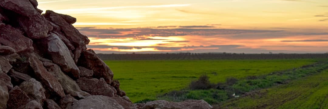 #👨🏻‍🦰🤙 banner