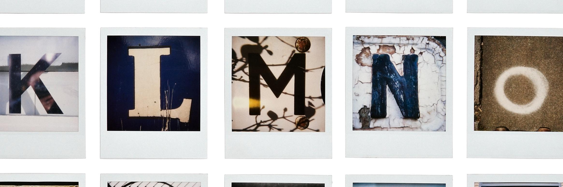 Professor Alison Park banner