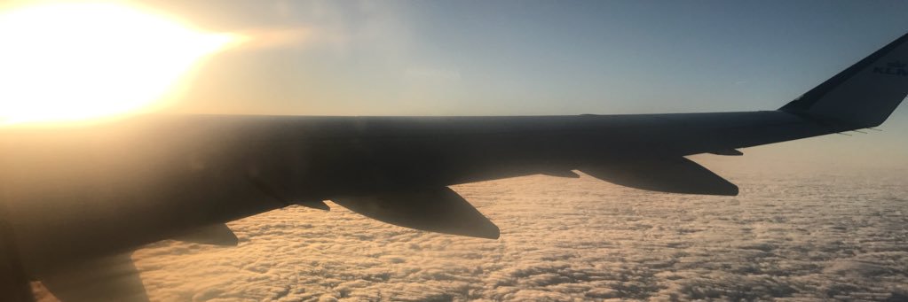 267_ash's profile banner image