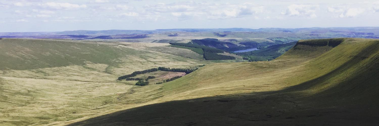 Matthew Jolly banner