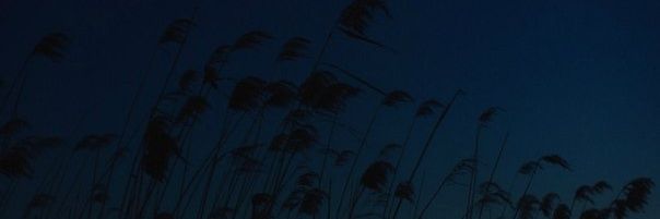 っっ || enhypen is 7 banner