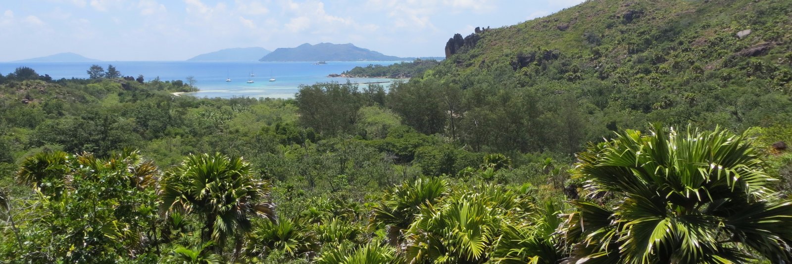 Emma J. Morgan banner