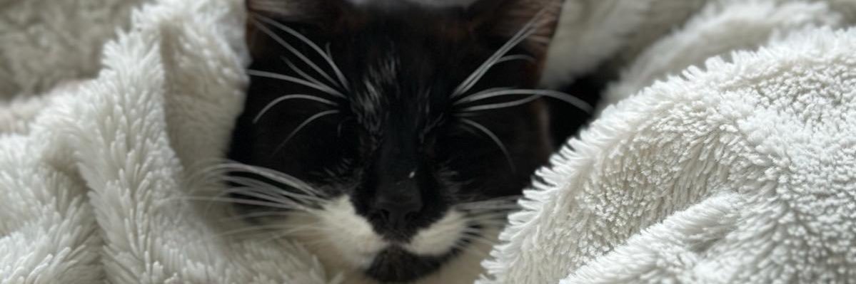 cassadj's profile banner image