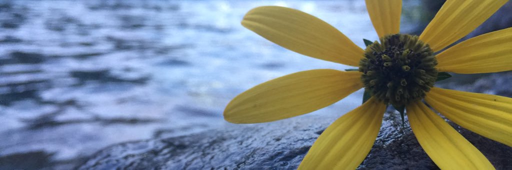 VFaithh14's profile banner image