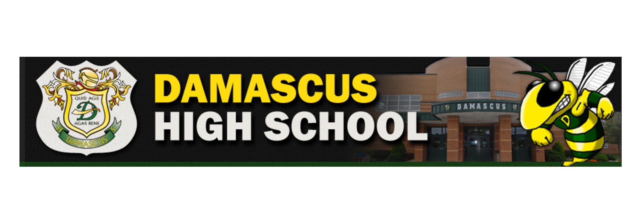 Adam Saltzman banner