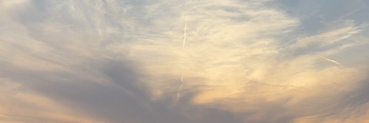 m banner