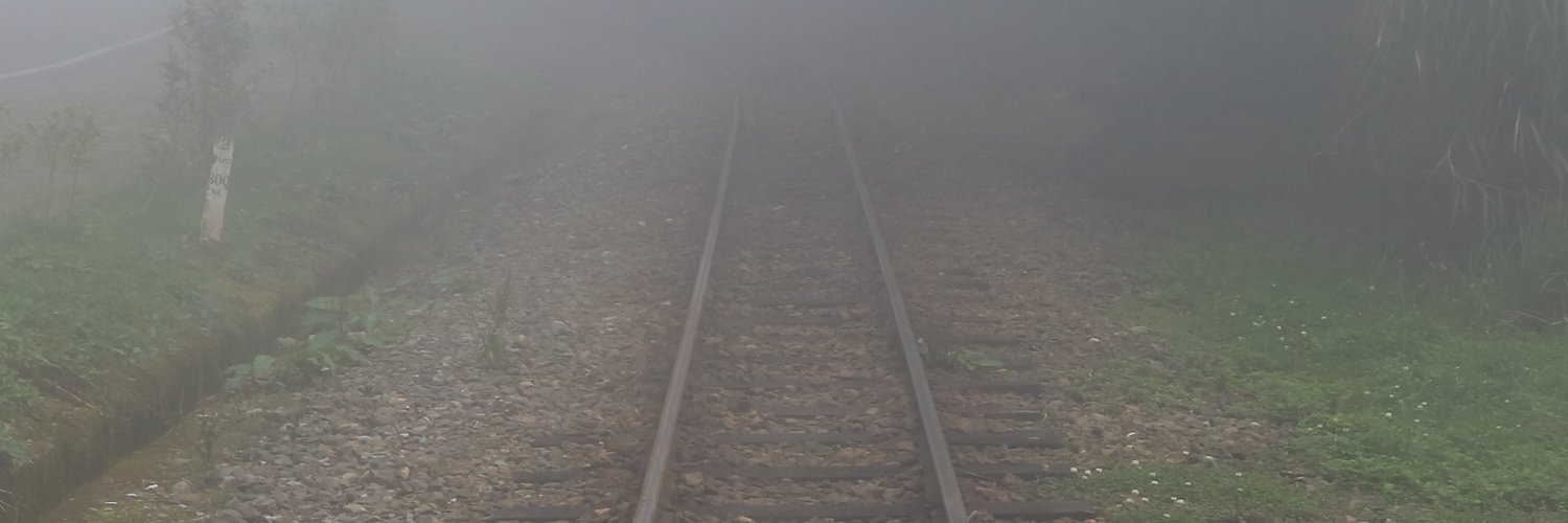 走走停停的追聲者 banner