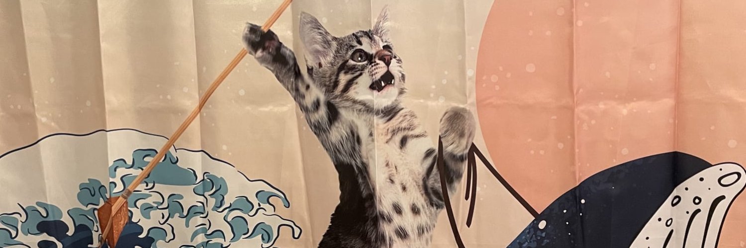 sorryNotsorry banner