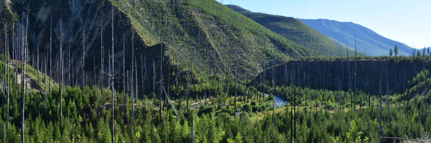 abbygeomorph's profile banner image