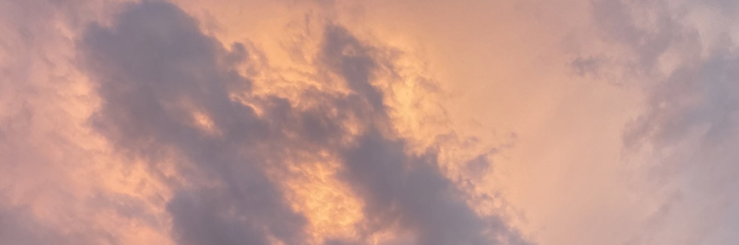 camilvpostigo's profile banner image