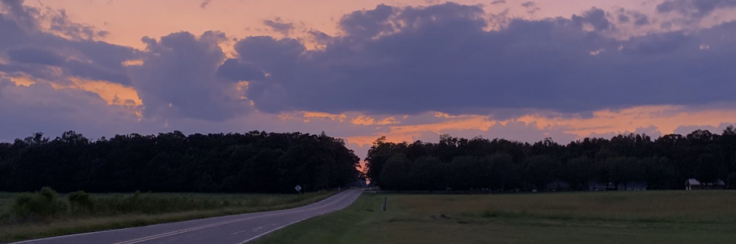 LivWilliams97's profile banner image