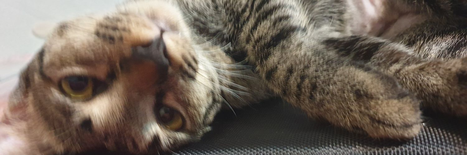 Mint (=^ェ^=) banner