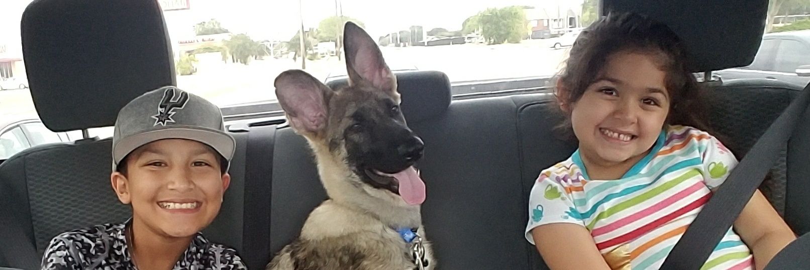 Melissa Naranjo banner