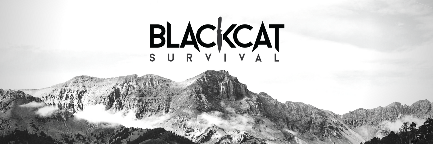 blackcat69's profile banner image