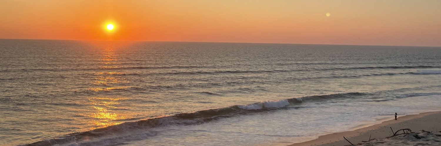 alexisbabinks's profile banner image