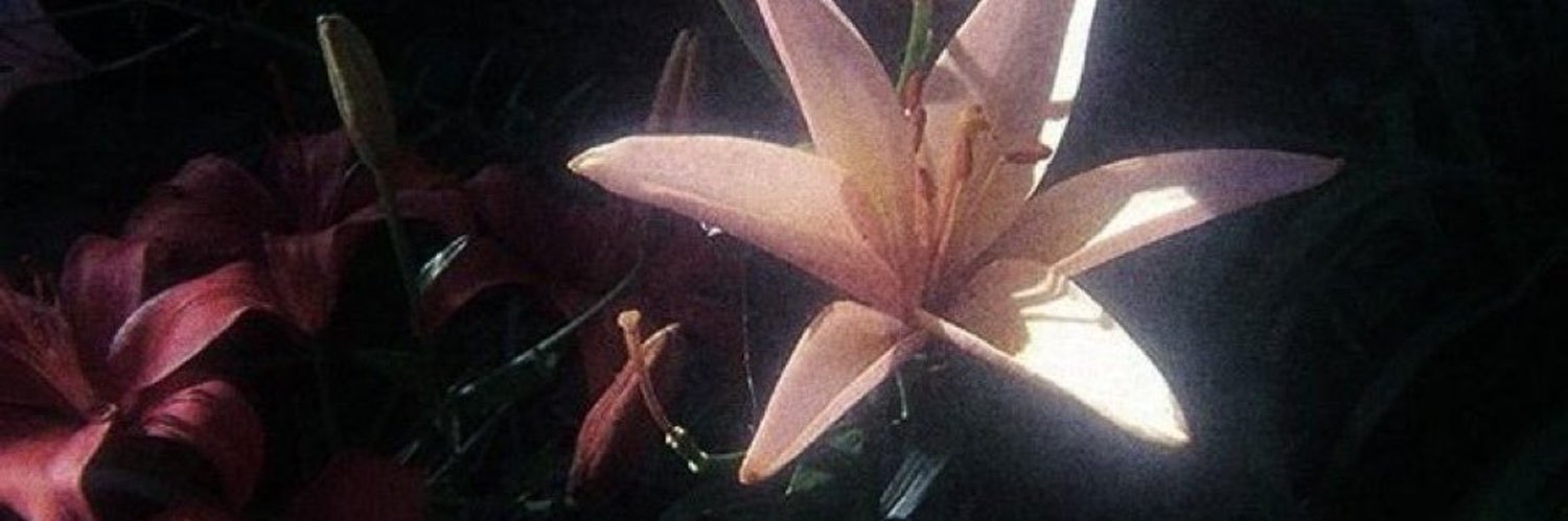 _11lo's profile banner image