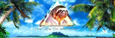 Sloth banner