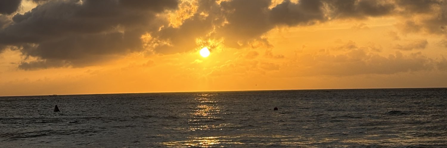 beeannni's profile banner image