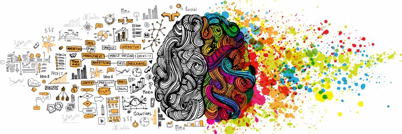 Amin Sadeghdoust banner