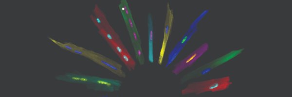 caelagamoo Profile Banner