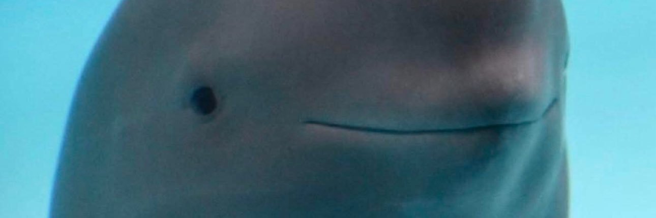 charris221's profile banner image