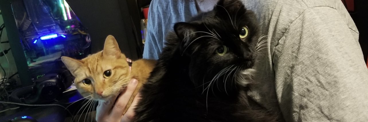 baiibaby's profile banner image