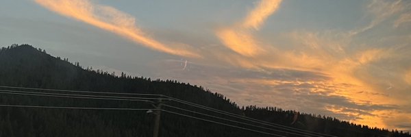 savannahcoats1 Profile Banner