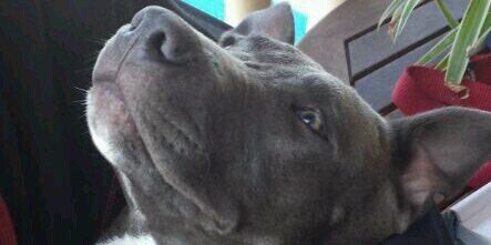 sb_tomas's profile banner image