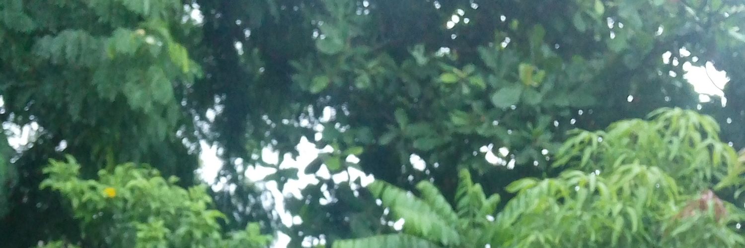 dvj2111's profile banner image
