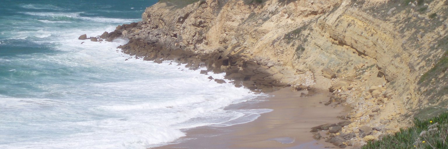 SoniGonzalezG's profile banner image