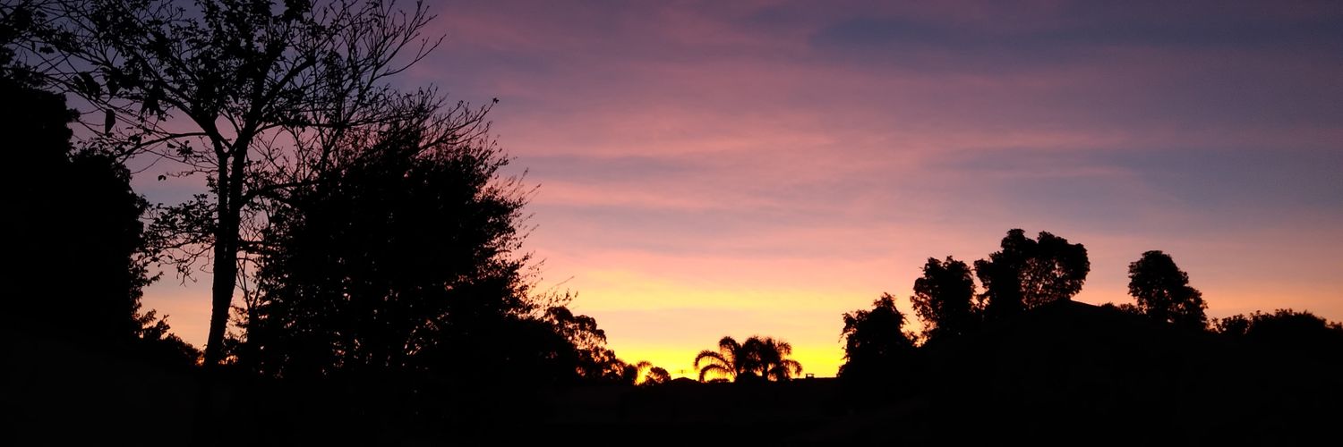 realbuquer's profile banner image