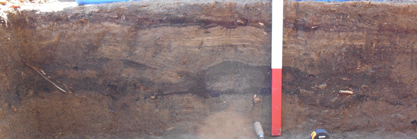 INAArchaeology's profile banner image