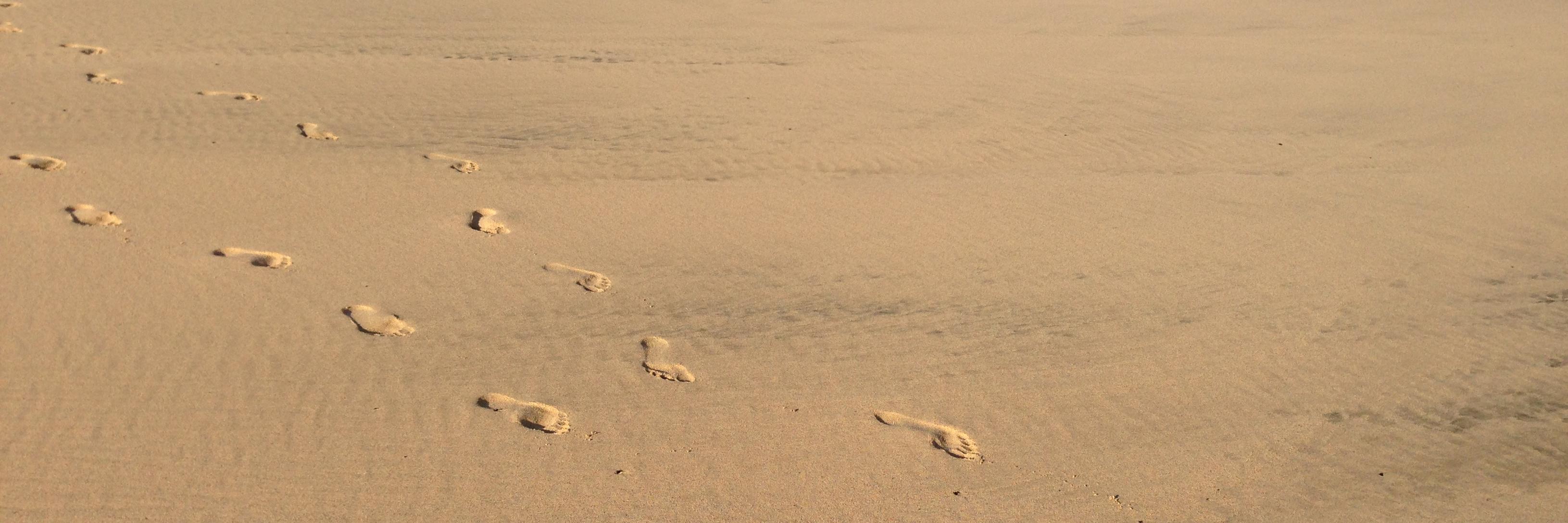 Philippe Messerli banner