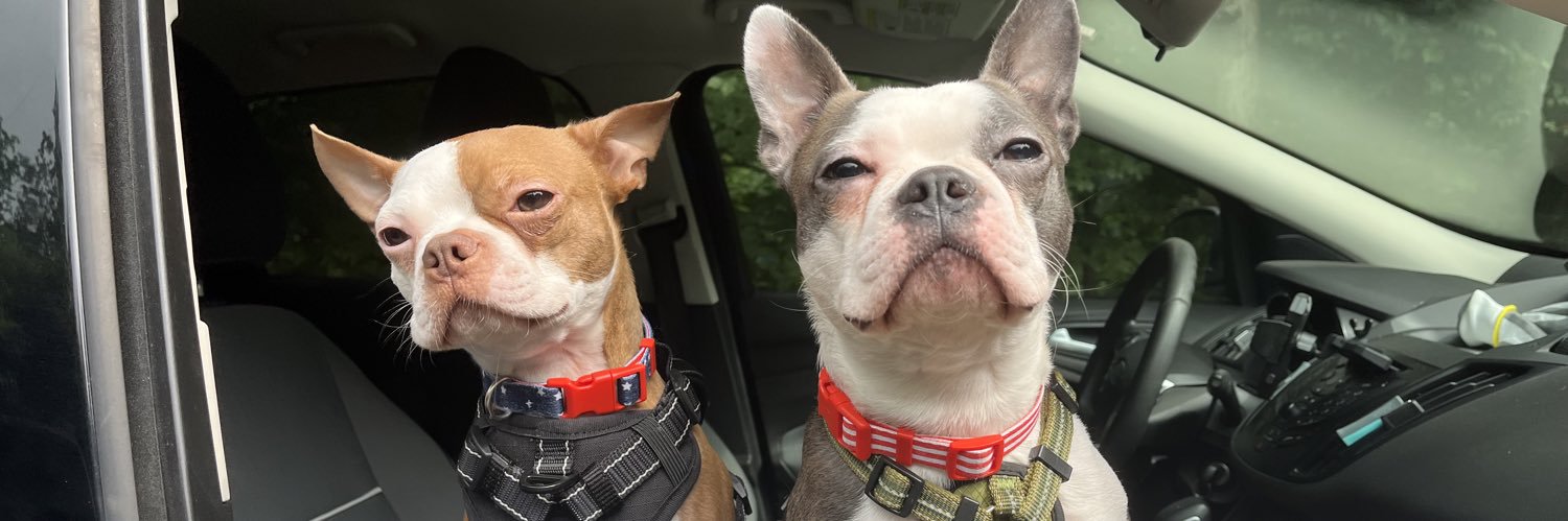 👿Hannah👿 banner